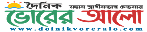 Daynik Vorer Alo logo
