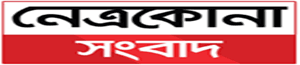 Netrokona News logo