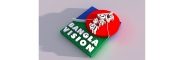 Bangla Vision logo